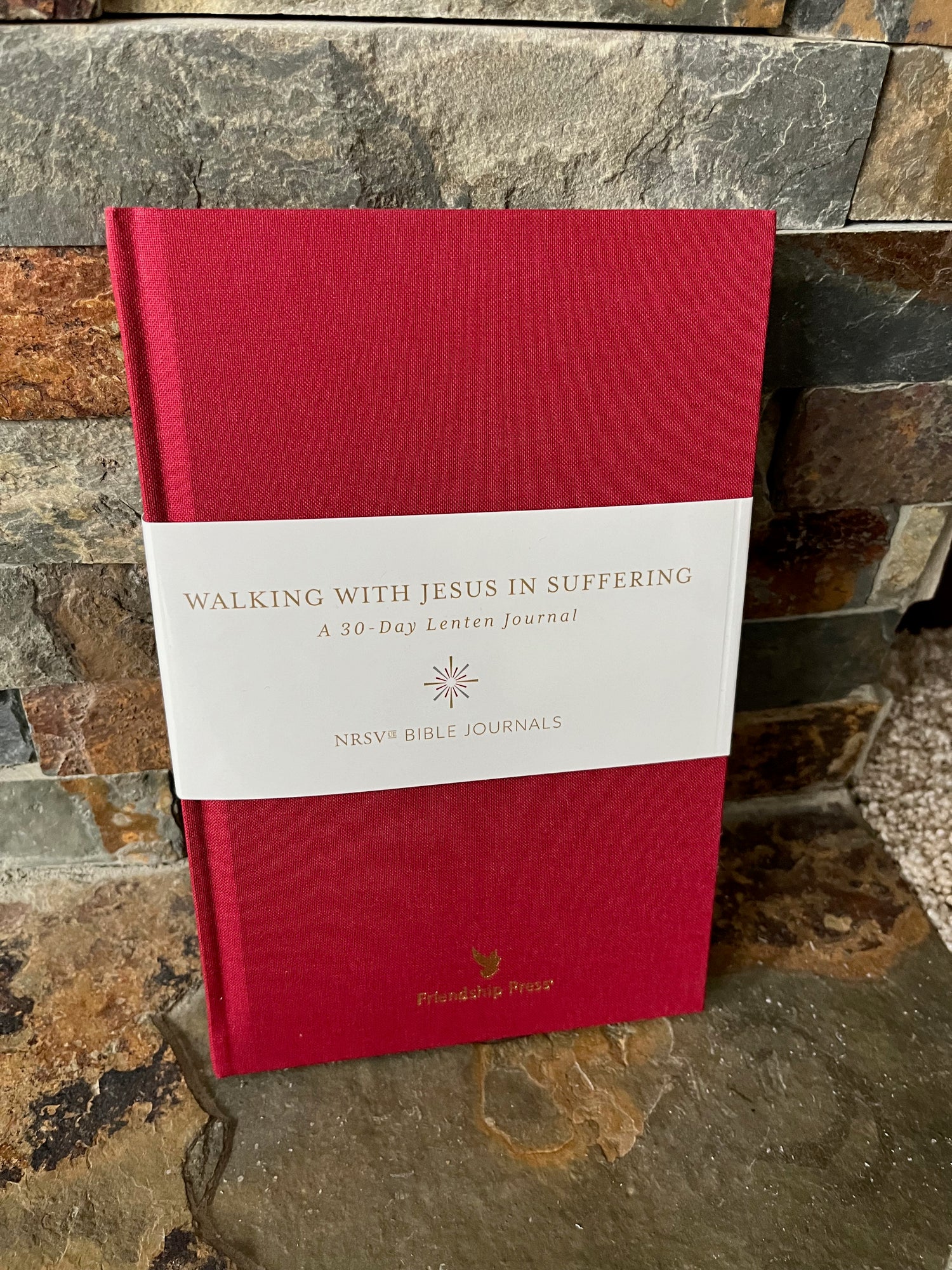Walking with Jesus in Suffering: A 30-Day Lenten Journal