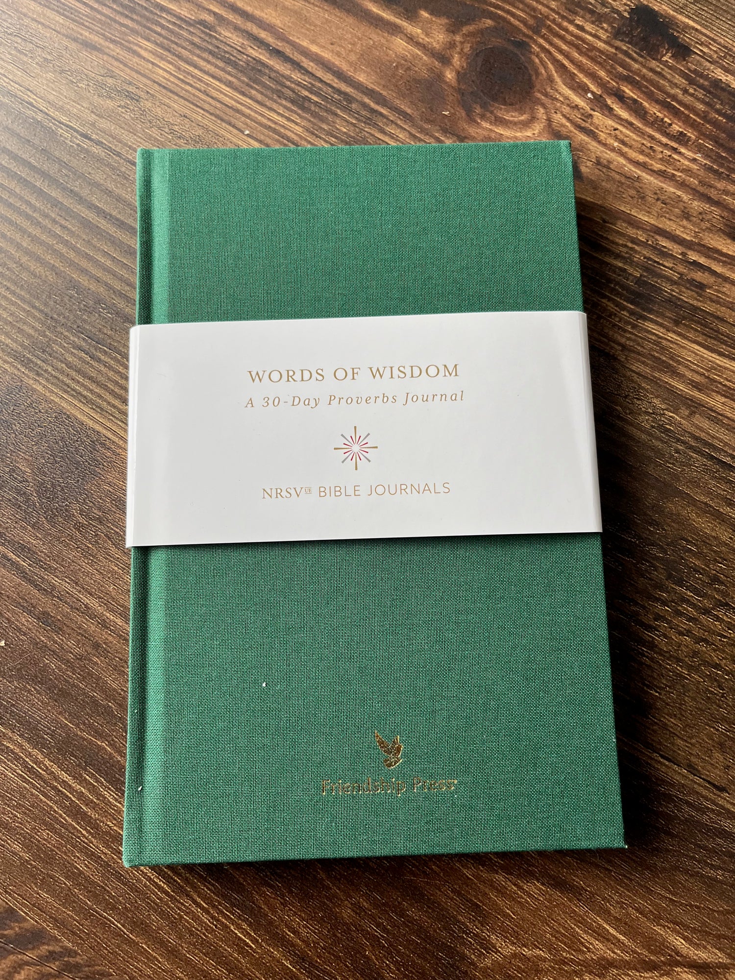 Words of Wisdom: A 30-Day Proverbs Journal
