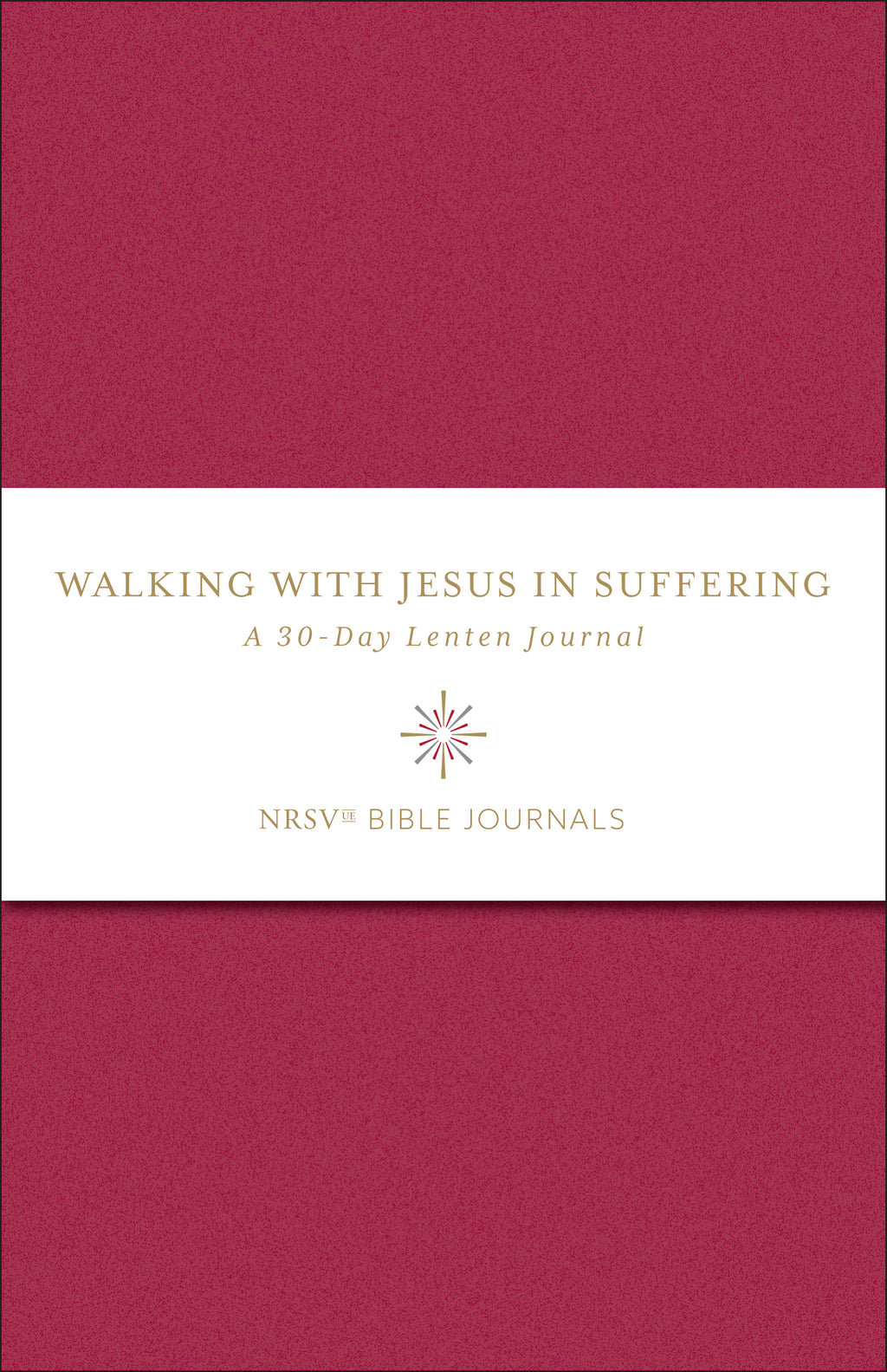 Walking with Jesus in Suffering