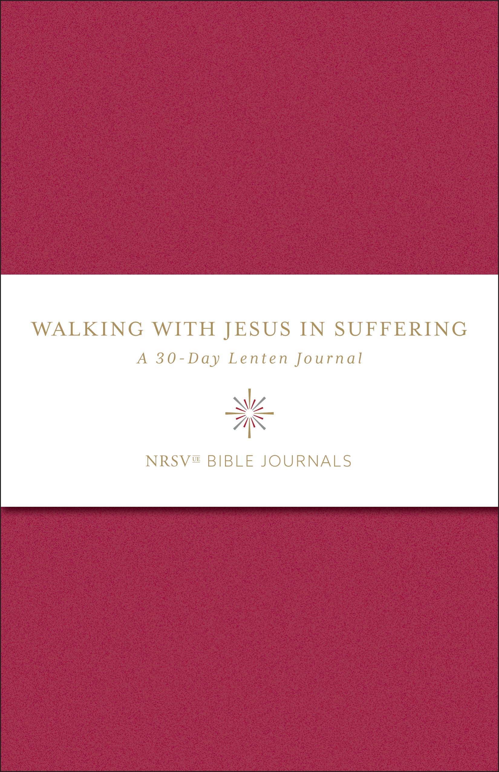 Walking with Jesus in Suffering